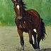 Светлана Бердник - cheval