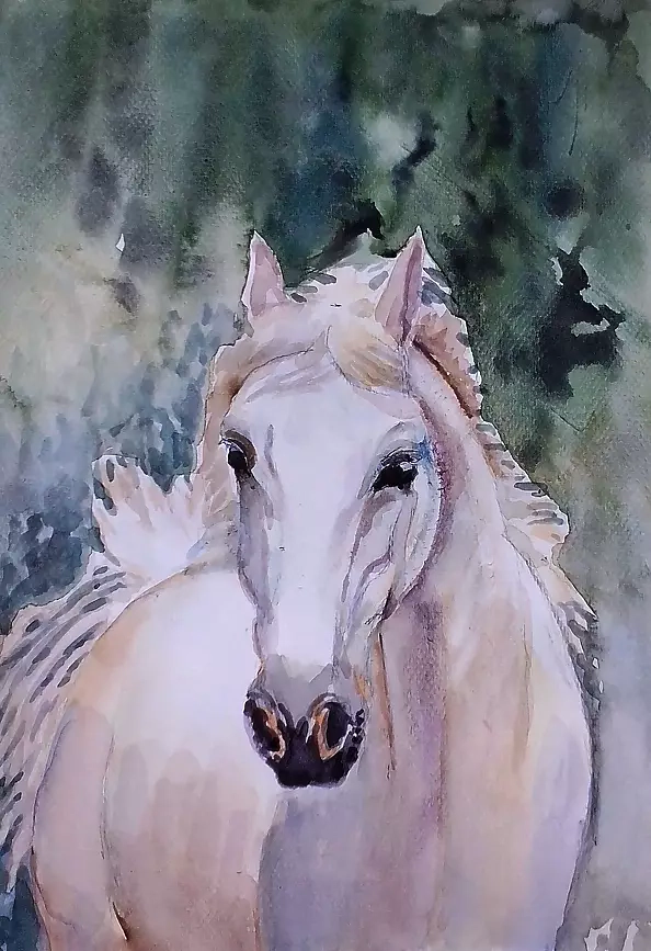 Zdzisław Rutkowski - Koń jaki jest kazdy widzi