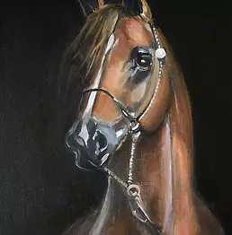 Lucyna Omiotek - Horse