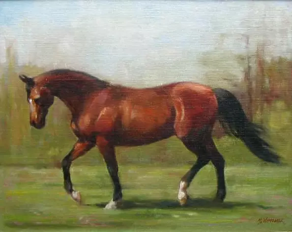 Mieczyslaw Wieczorek - Horse