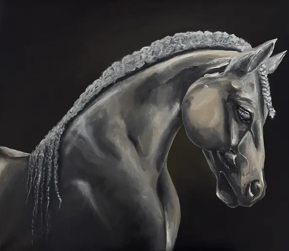 Małgorzata Gazduła - Horse Stallion I