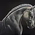 Małgorzata Gazduła - Horse Stallion I