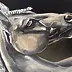 Małgorzata Gazduła - Horse Stallion I