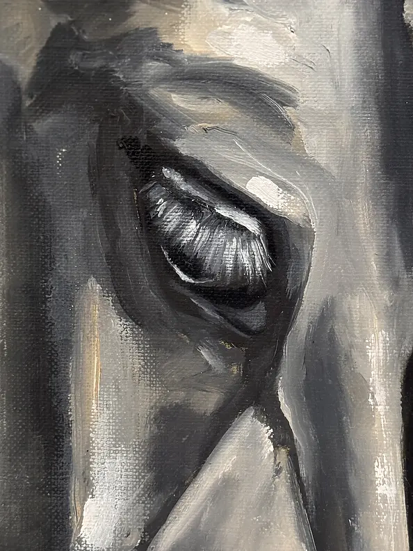 Małgorzata Gazduła - Horse Stallion I