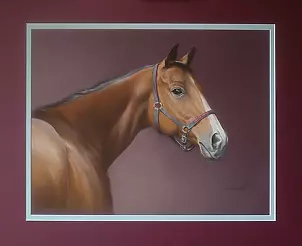 Jarosław Jędrzejski - English horse race