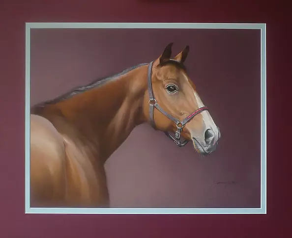 Jarosław Jędrzejski - Koń rasy angielskiej