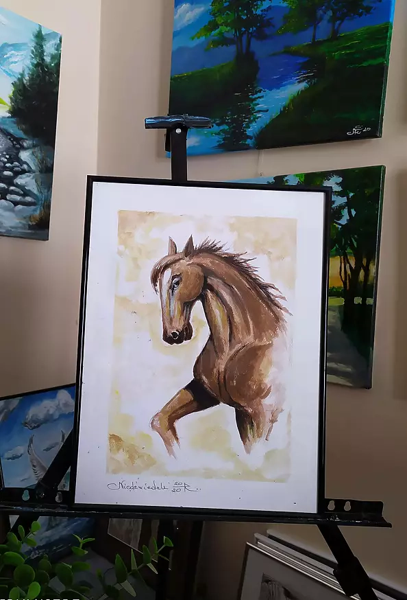 Ryszard Niedźwiedzki - Koń