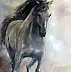 Michalina Derlicka - Gray horse
