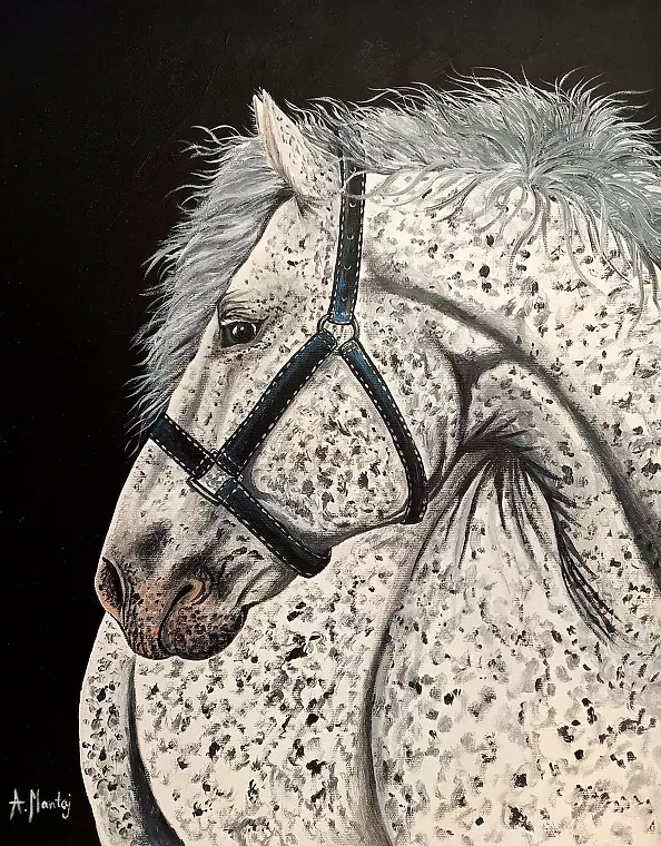 Agnieszka Mantaj - Koń tarant