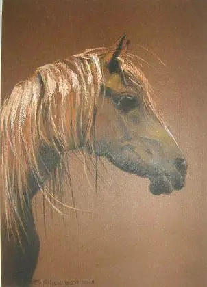 Zbigniew Bień - The horse in brown