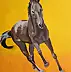 Łukasz Stobiecki - A galloping horse