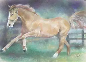 Marek Strójwąs - Koń w galopie