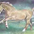 Marek Strójwąs - A galloping horse