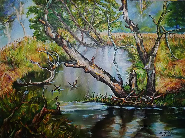 Zenon Gleń - branches