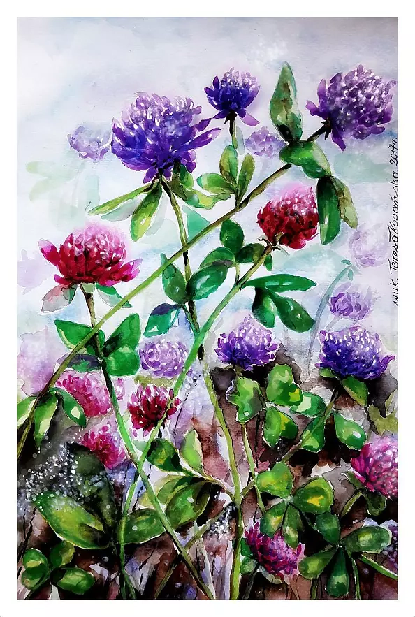 Teresa Kopańska - Koniczynki