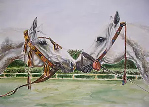 Maria Skrzypczyk - horses Emirates