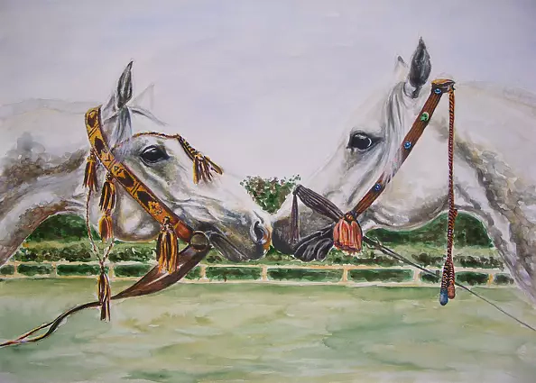 Maria Skrzypczyk - horses Emirates