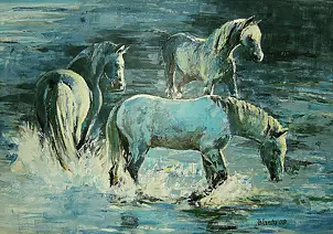 Jolanta Kalopsidiotis - Camargue horses