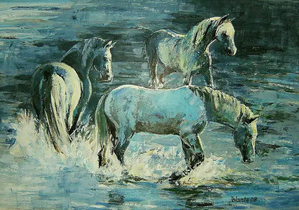 Jolanta Kalopsidiotis - Konie Camargue