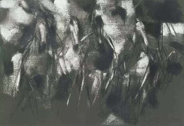 Bogusław Lustyk - Konie