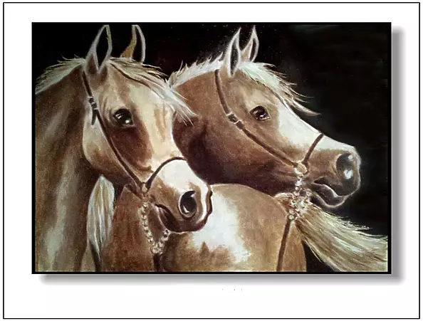 Jolanta Dusza - horses isabella