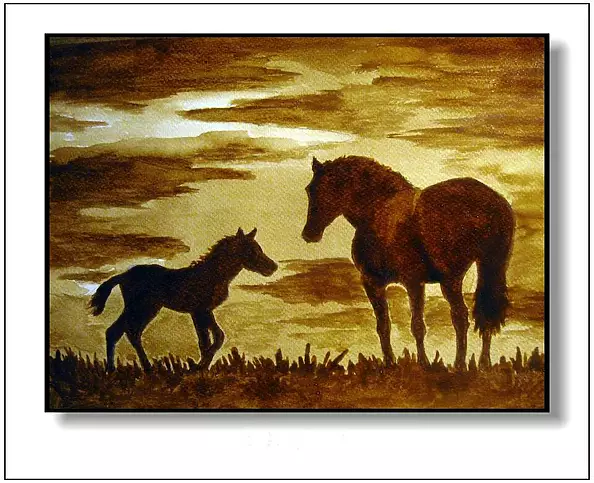 Jolanta Dusza - horses