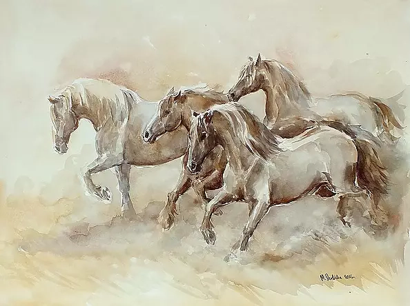 Michalina Derlicka - horses