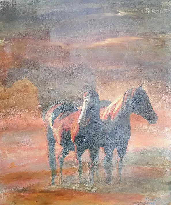Przemysław Świątek - horses