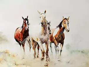 Rafał Bochra - horses