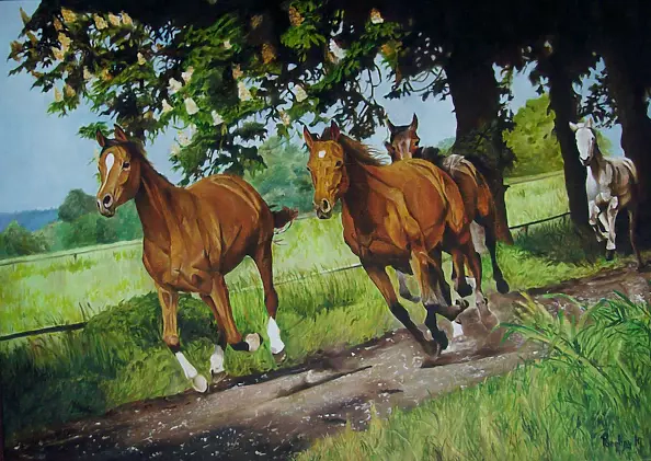 Maciej Porębny - Konie w galopie