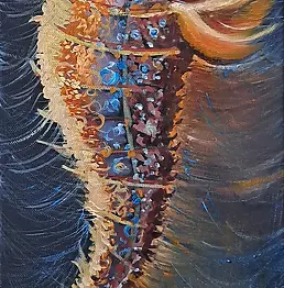 Małgorzata Zielińska - Cavallo