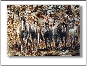 Jolanta Dusza - horses