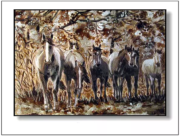 Jolanta Dusza - horses