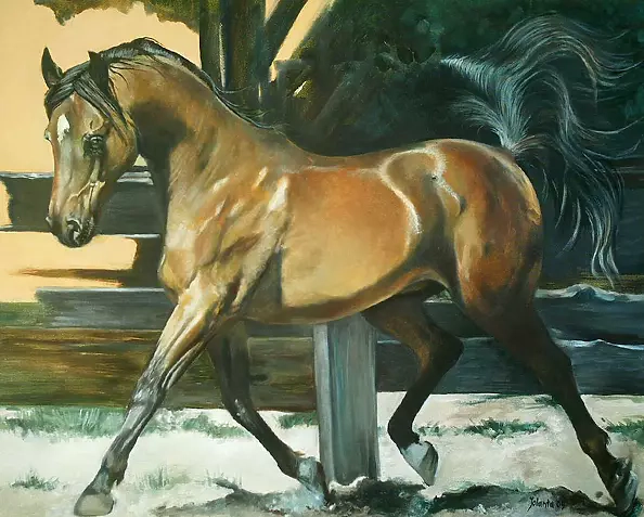 Jolanta Kalopsidiotis - horse pride