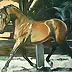 Jolanta Kalopsidiotis - orgoglio cavallo