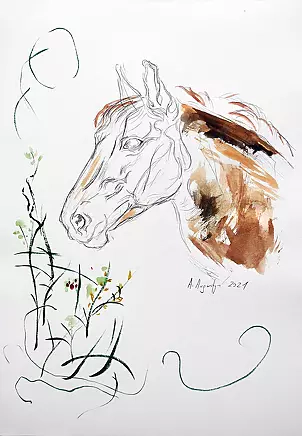 Amelia Augustyn - Голова лошади