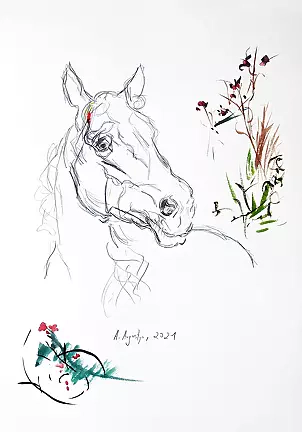 Amelia Augustyn - Портрет лошади