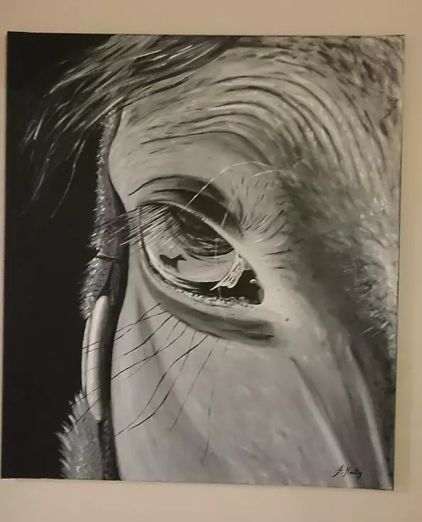 Agnieszka Mantaj - horse's eye