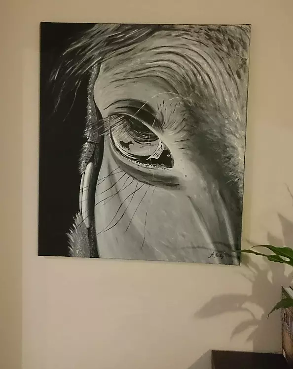 Agnieszka Mantaj - horse's eye