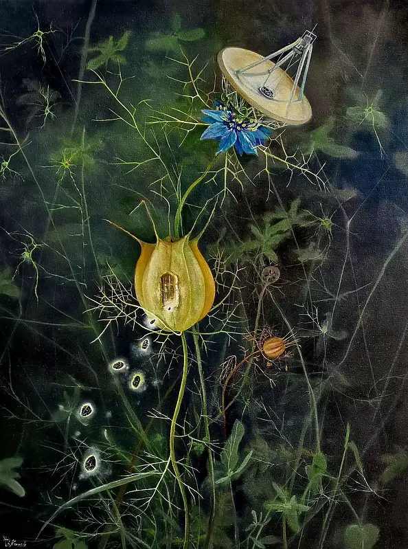 Klaudia Karasek - Sativa converter