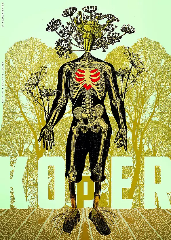 Damian Kłaczkiewicz - Koper