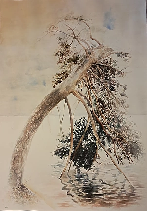   - A copy of Julian Fałat's watercolor