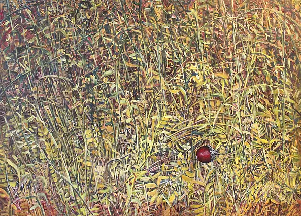 Natalia Karasińska - Koralik