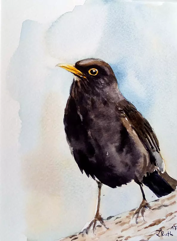 Zdzisław Rutkowski - Kos - male