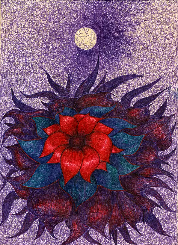 Wojtek Kowalski - cosmic Flower