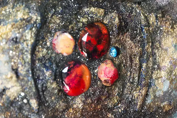 Agnieszka Osak - "Kosmiczny Wizjer III"