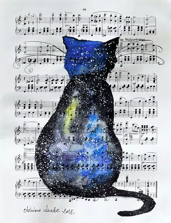 Adriana Laube - Kosmiczny kot