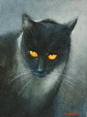 Tadeusz Gazda - cat II