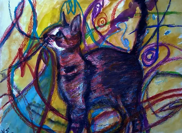 Marzena Salwowska - Kot Pana Miro