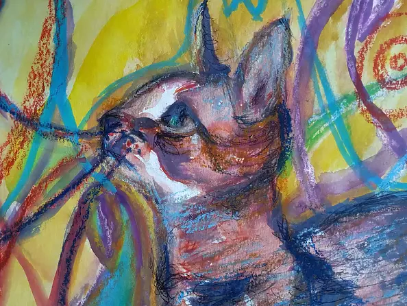 Marzena Salwowska - Kot Pana Miro